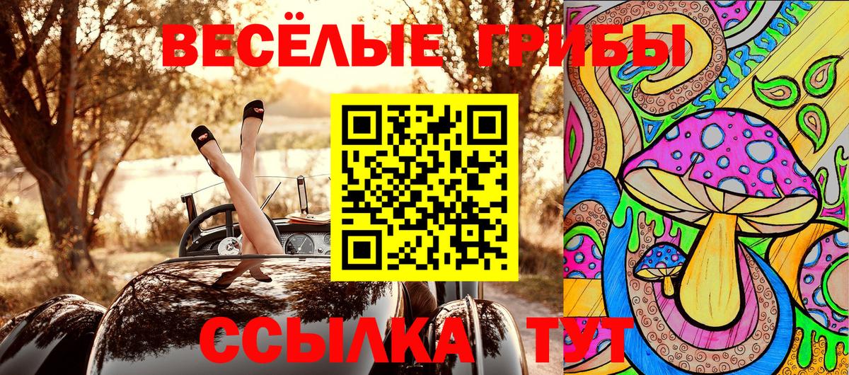 Галлюциногенные грибы MAGIC MUSHROOMS  Псилоцибиновые грибы прущие грибы  Вход с VPN  Гуково 